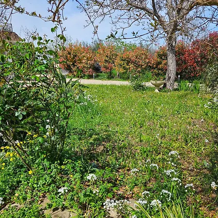 Da Nella Dimora Di Campagna - Maison A Porter Ferienhaus Vasto