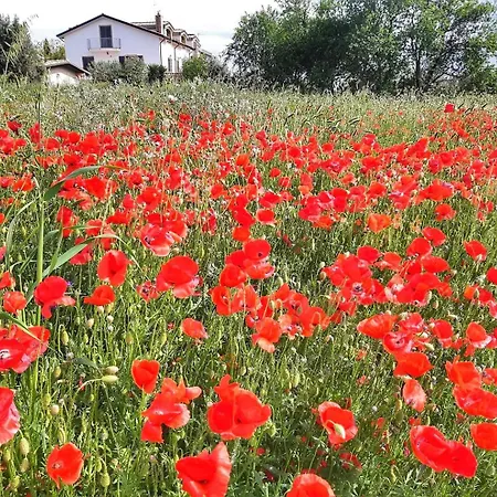Da Nella Dimora Di Campagna - Maison A Porter * Vasto