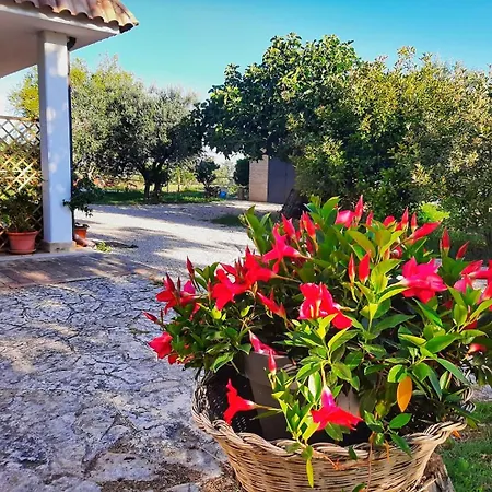Ferienhaus Da Nella Dimora Di Campagna - Maison A Porter *