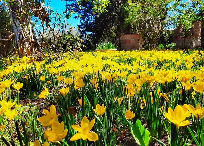 Da Nella Dimora Di Campagna - Maison A Porter Vasto