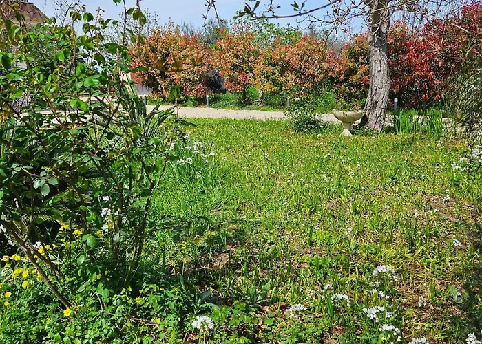 Da Nella Dimora Di Campagna - Maison A Porter Ferienhaus Vasto