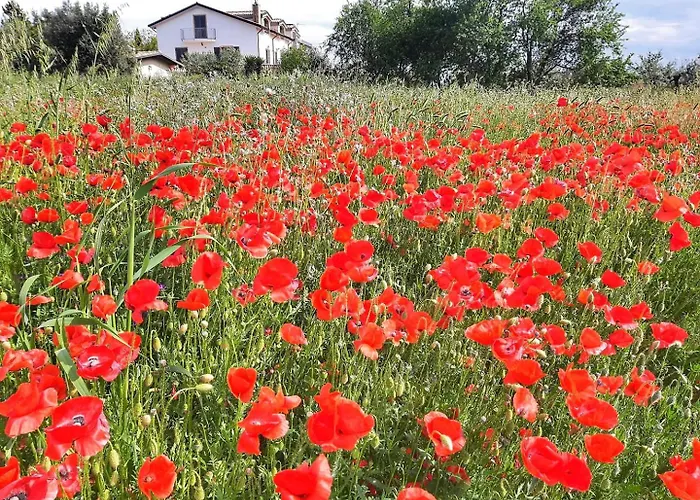 Da Nella Dimora Di Campagna - Maison A Porter * Vasto