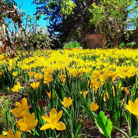 Da Nella Dimora Di Campagna Vasto