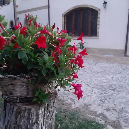 Da Nella Dimora Di Campagna Holiday home