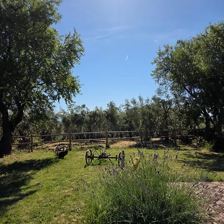 Holiday home Da Nella Dimora Di Campagna - Maison A Porter Vasto